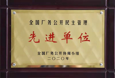 yy易游厂务公开先进奖状